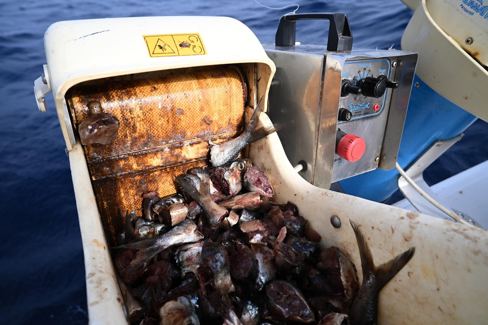 Un día a bordo del Artic pescando atunes rojos para marcarlos con GPS