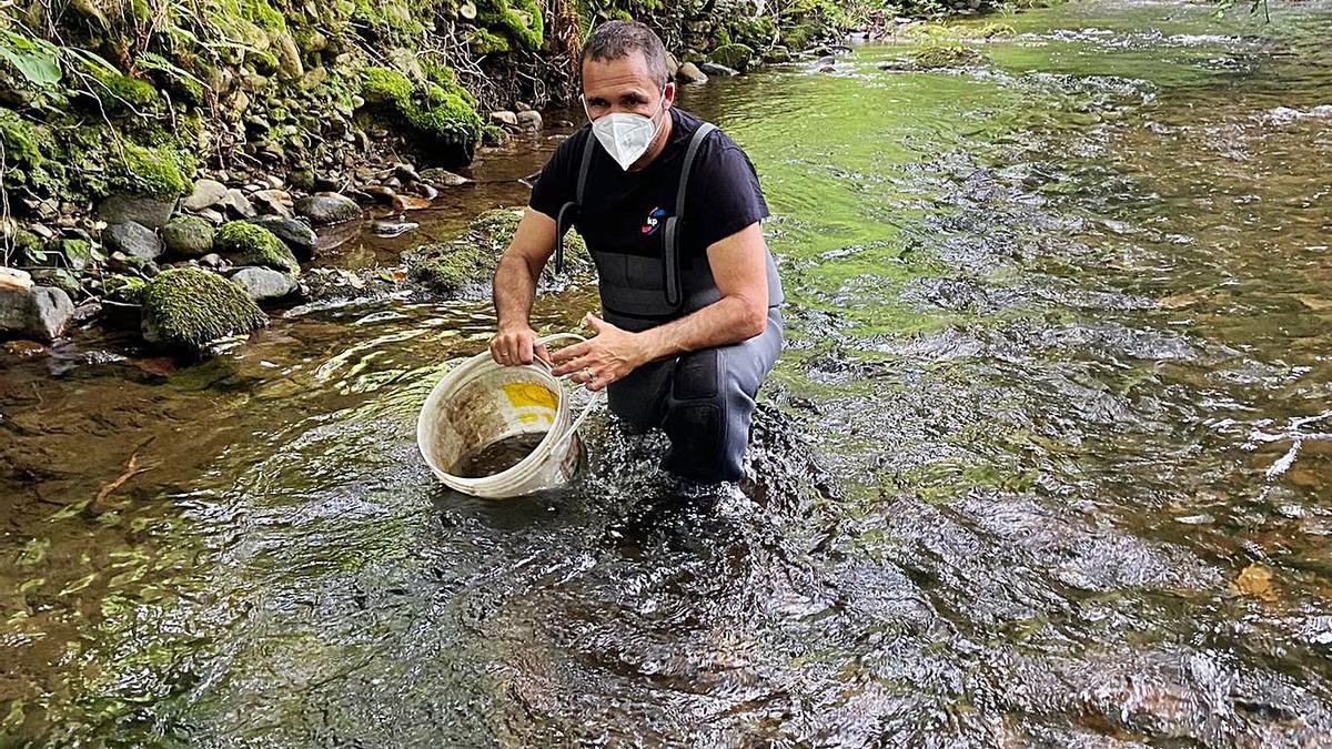 Enrique Berrocal, durante la suelta de alevines en el Aranguín.