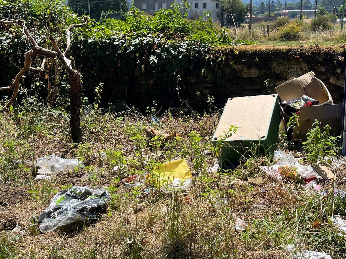 Basura en el entorno de la carballeira de A Sagrada.