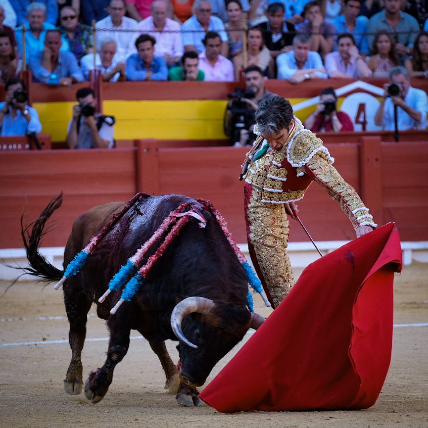 La tauromaquia de José Tomás en Alicante, en imágenes