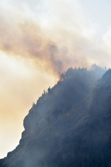 10-08-2019 ARTENARA. Incendio en la cumbre de Gran Canaria  | 10/08/2019 | Fotógrafo: Andrés Cruz