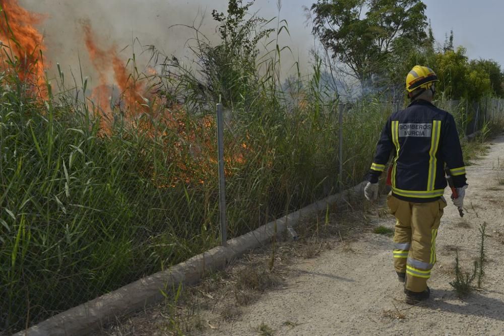 Incendio de matorral en Cabezo de Torres