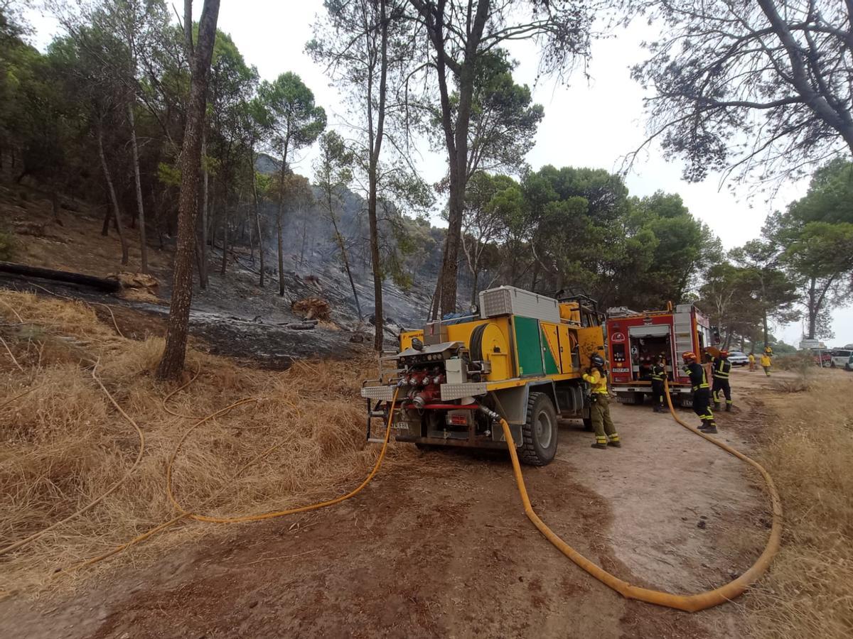 El Infoca combate un grave incendio forestal en Rute El Infoca combate un grave incendio forestal en Rute