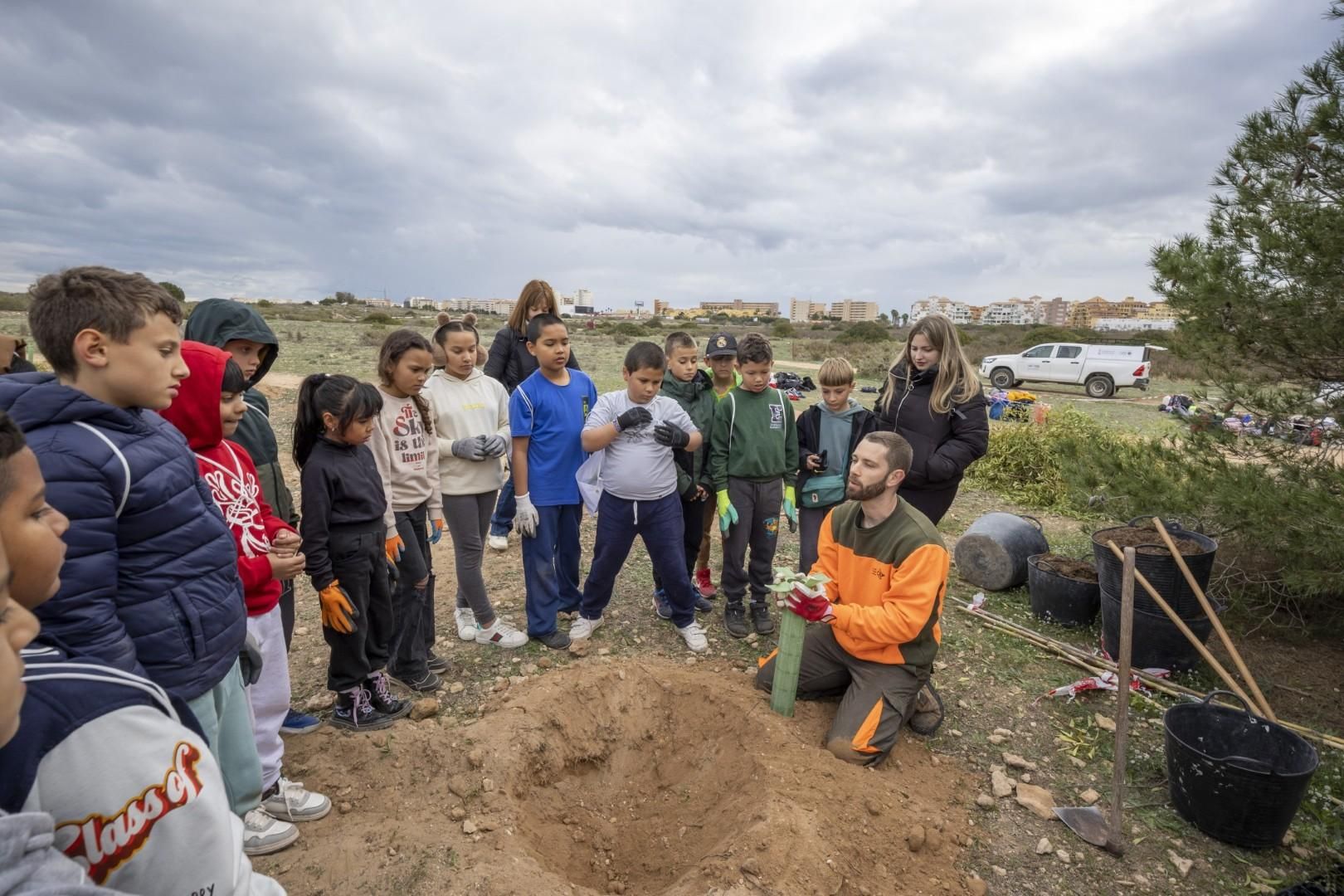 Jornada escolar plantación de especies autóctonas junto al parque natural de las lagunas de Torrevieja y La Mata