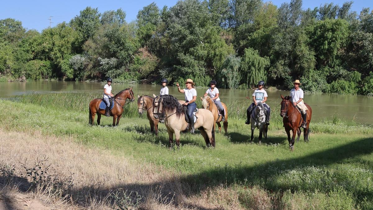 La ruta a caballo recorre parte de la ribera del río Guadalquivir, explorando su fauna y sus paisajes.