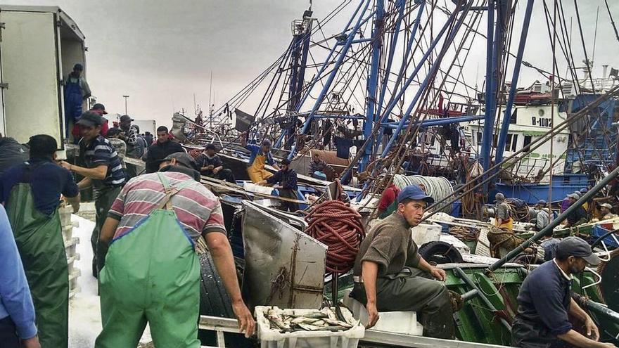 Descarga de sardina, jurel y caballa en el puerto de Dakhla.