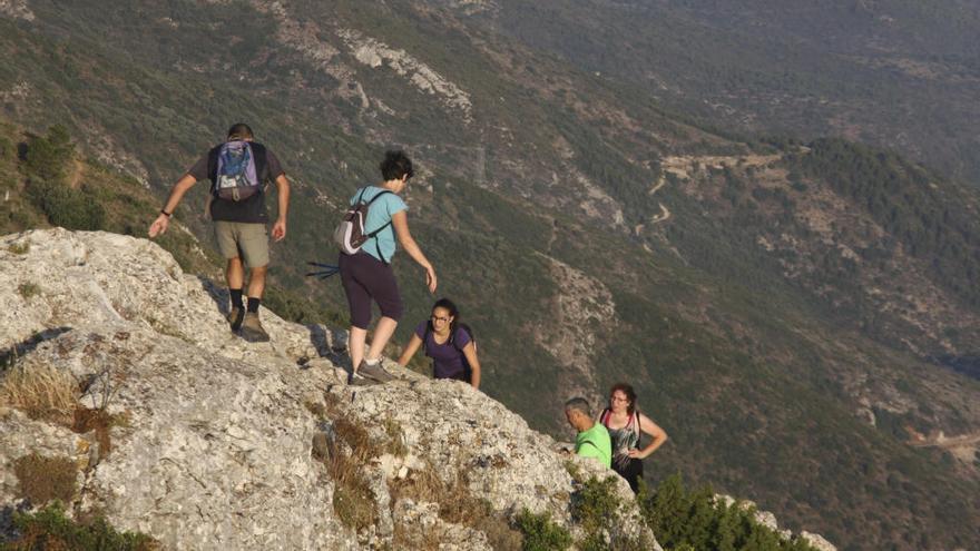 Unas 33.000 hectáreas de superficie forestal repartidas desigualmente