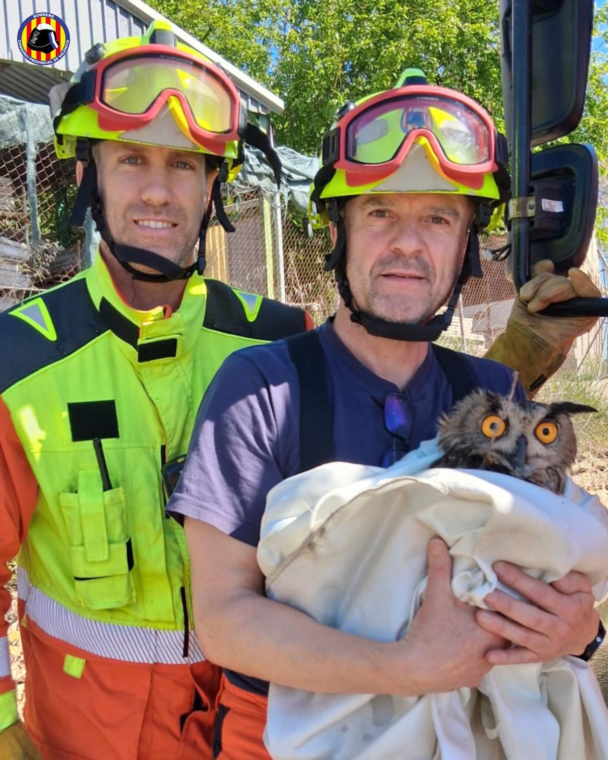 Dos bomberos con el búho real rescatado en Navarrés.