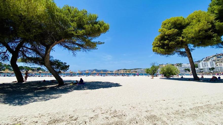 Große Hitze im Anflug: Mallorca dürfte die 40-Grad-Marke knacken