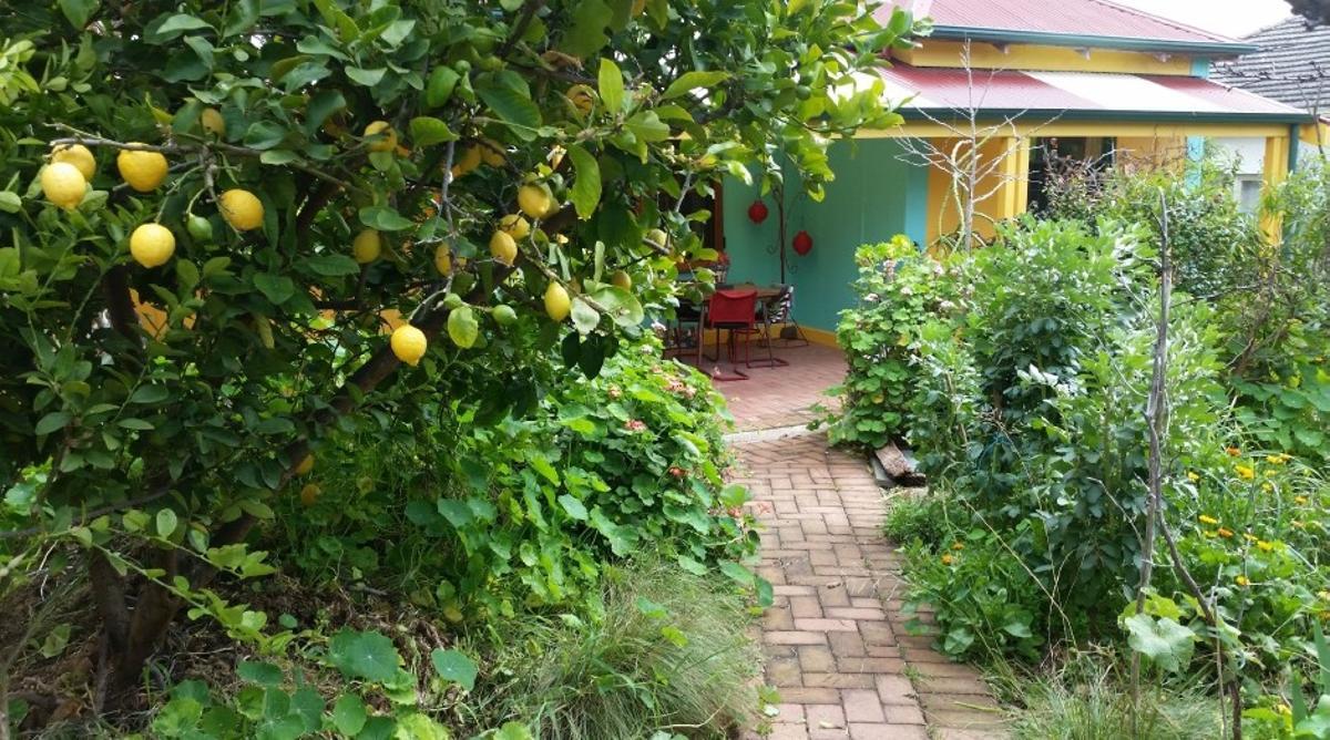 Parte frontal de la casa de John Boland, científico australiano, en Adelaida