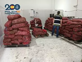 Decomisados 1.700 kilos de almeja portuguesa ilegal