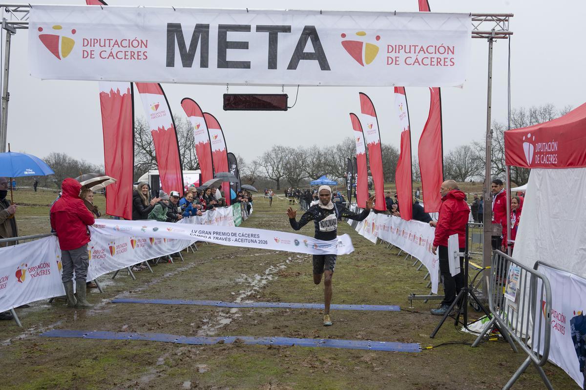 Fotogalería | Las imágenes del Gran Premio Cáceres de Campo a Través