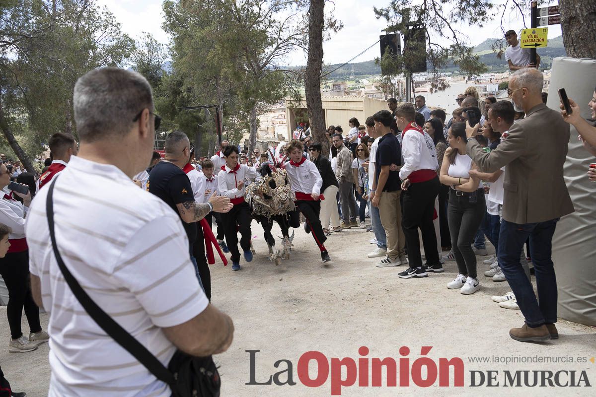 Fiestas de Caravaca | Desfile infantil del Bando de los Caballos del Vino