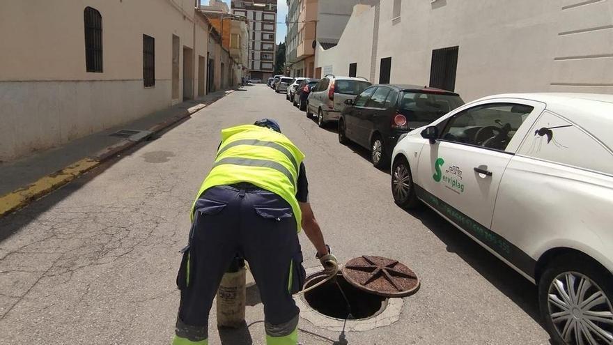 Nules completa els treballs anuals de desinsectació i desratització