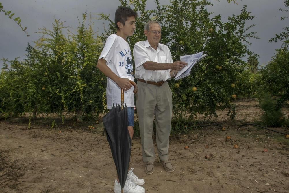 Cabañuelas: predicción del tiempo en Elche