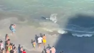 Un tiburón 'desaloja' una playa de La Manga