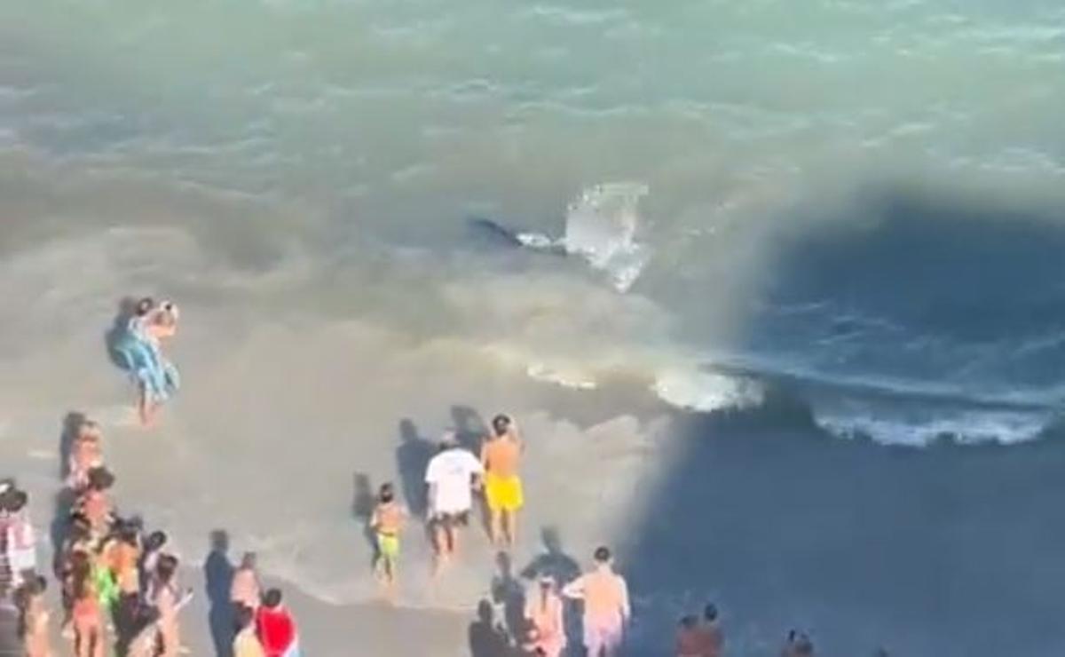Tiburón avistado en La Manga.