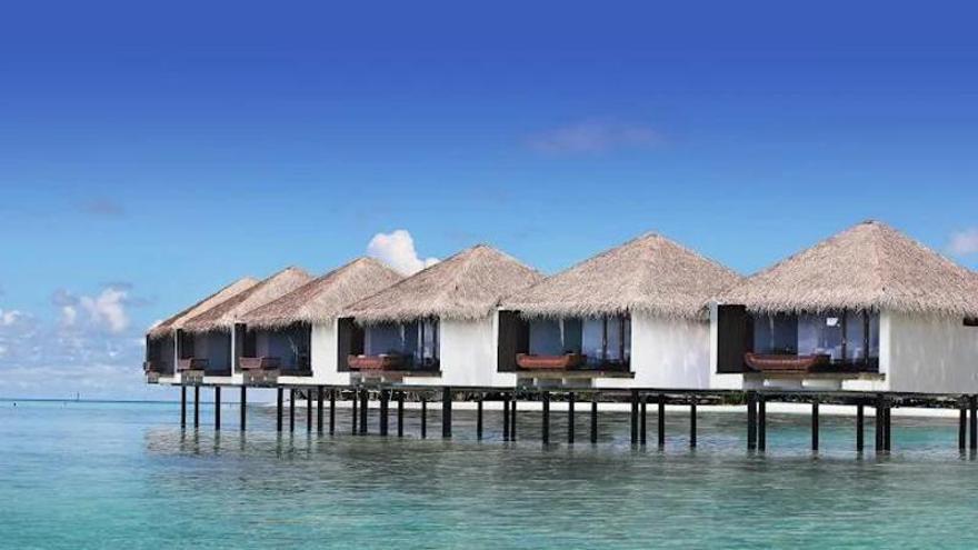 Un testigo del ataque del tiburón al joven español: 