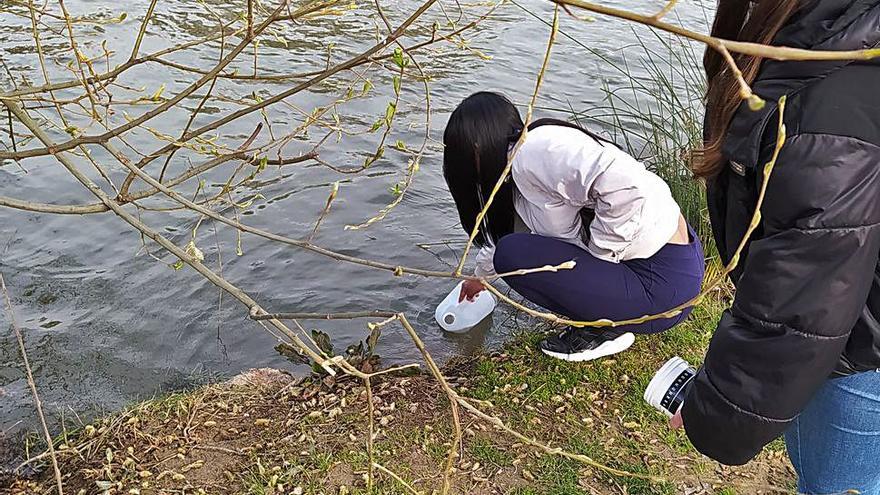 Dos alumnas recogen una muestra de agua en el Duero. | Cedida