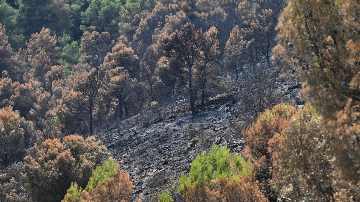 Vídeo: Imágenes aéreas muestran la devastación causada por el incendio en la Serra d'Espadá