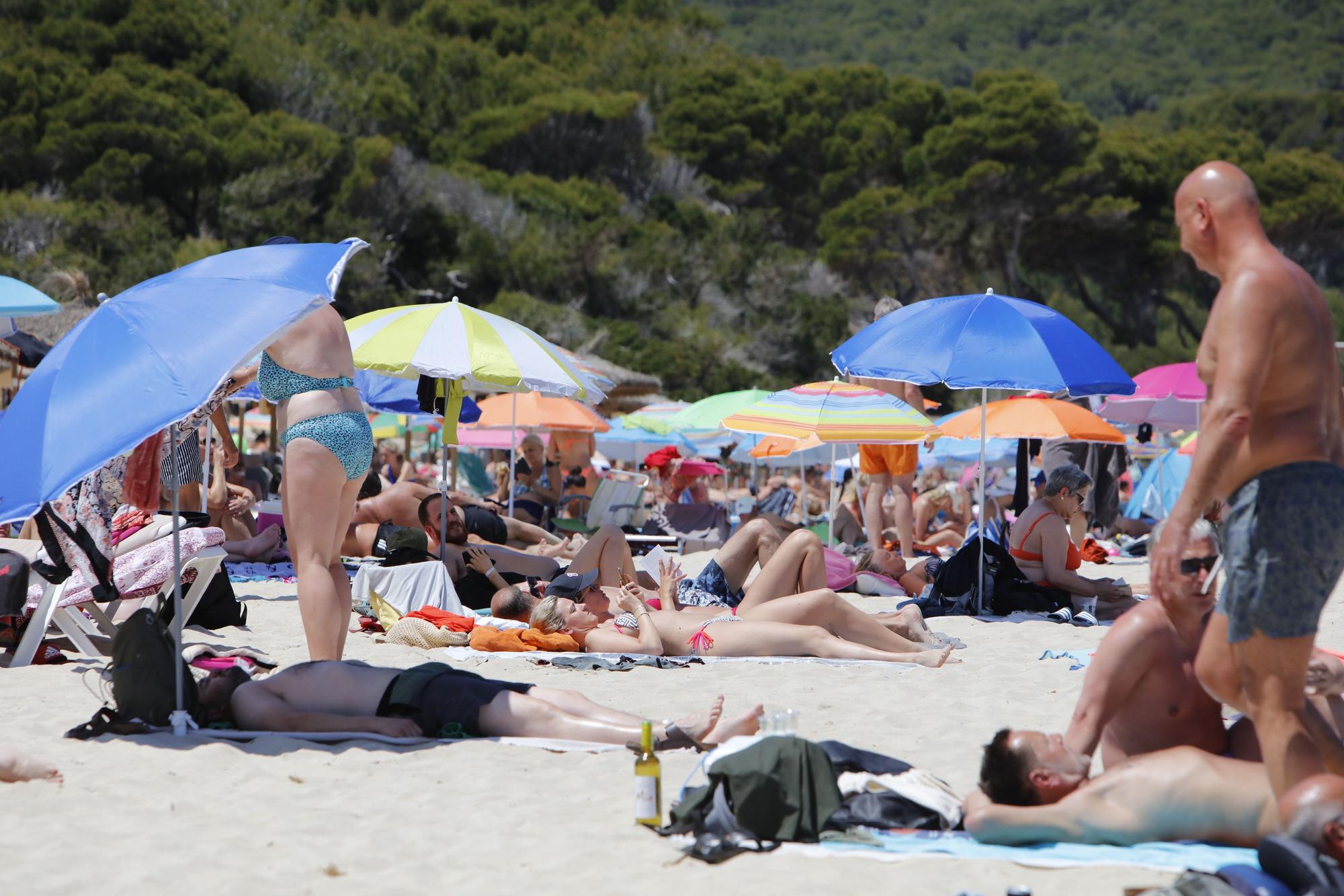 Wie im Hochsommer. So vergnügen sich schon jetzt die Urlauber an der Cala Agulla bei Cala Ratjada