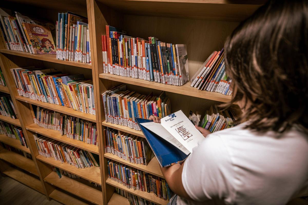 Biblioteca escolar en una escuela catalana.