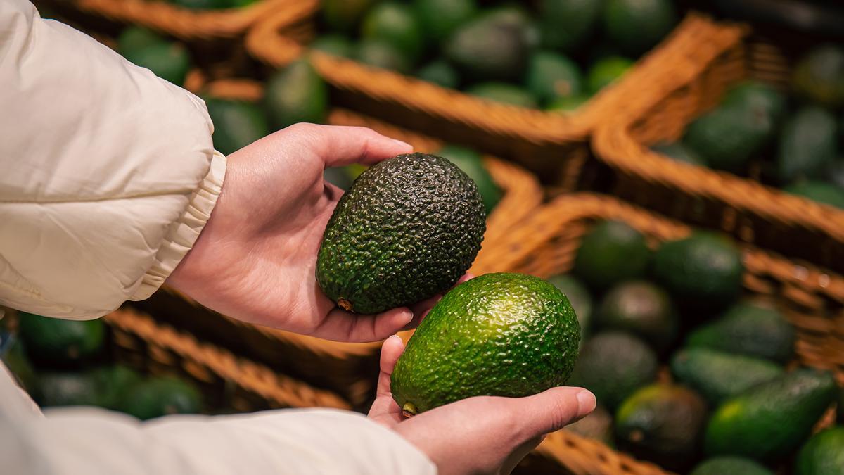 Elige el mejor aguacate cuando vayas al supermercado fíjate en este detalle