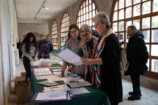 GALERÍA | Las imágenes de la jornada de matemáticas en la calle en Zamora