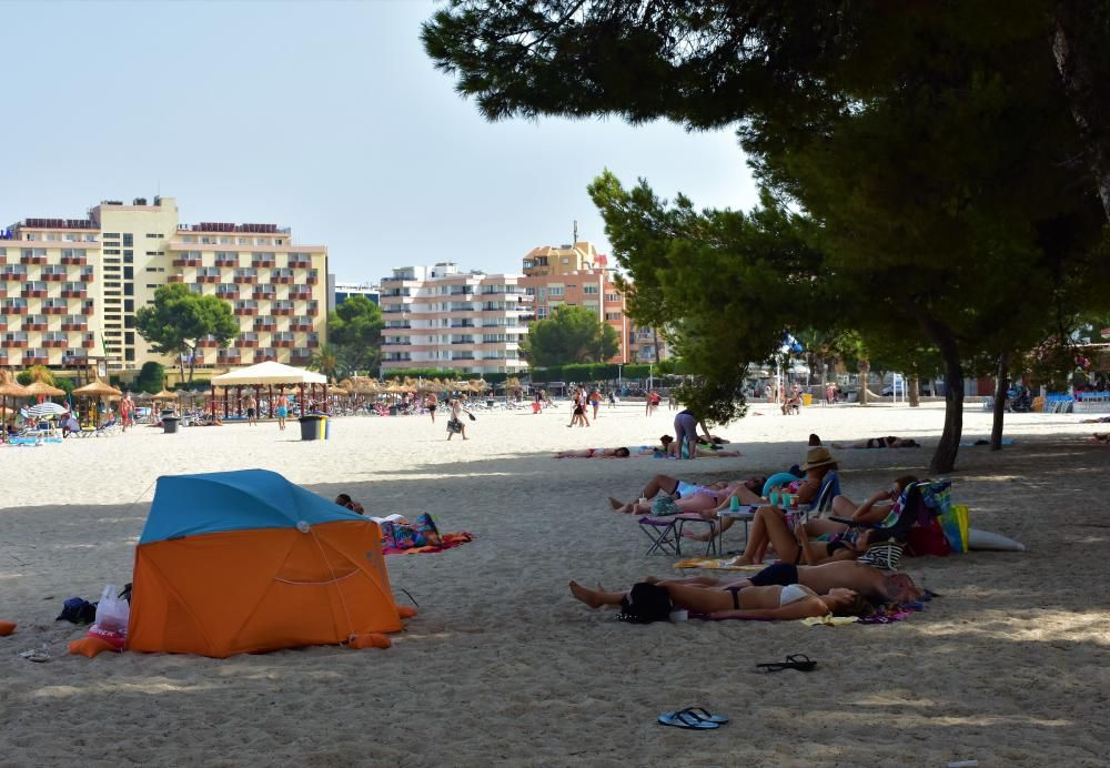 Verano infernal en Mallorca