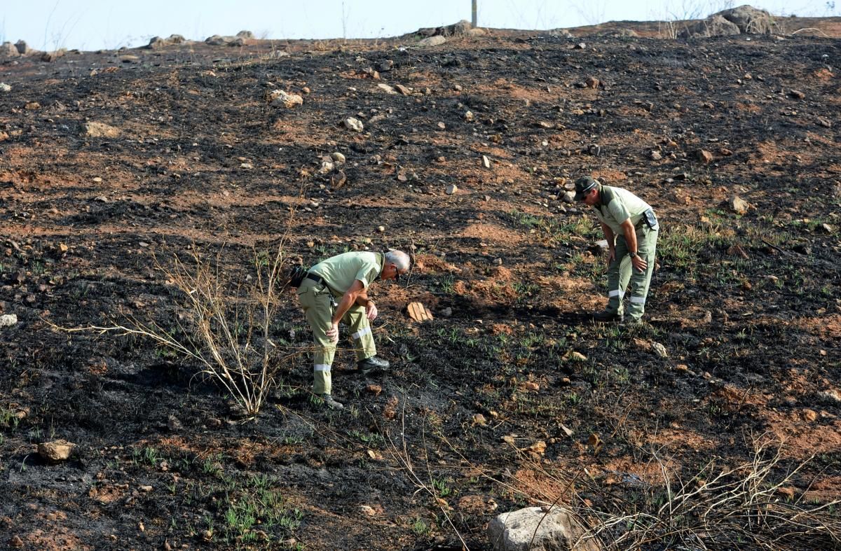 Los sabuesos del fuego