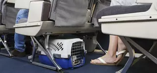 ¿Es posible viajar sin la Tarjeta Sanitaria Europea?
