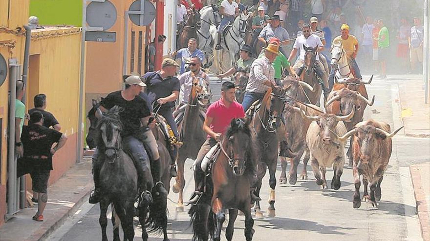 L&#039;Alcora festeja a San Jaime con un gran encierro campero