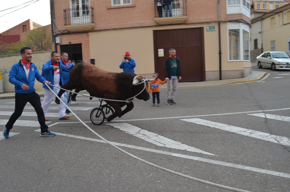 La XXI Carrera del Toro Enmaromado en La Veguilla, en imágenes