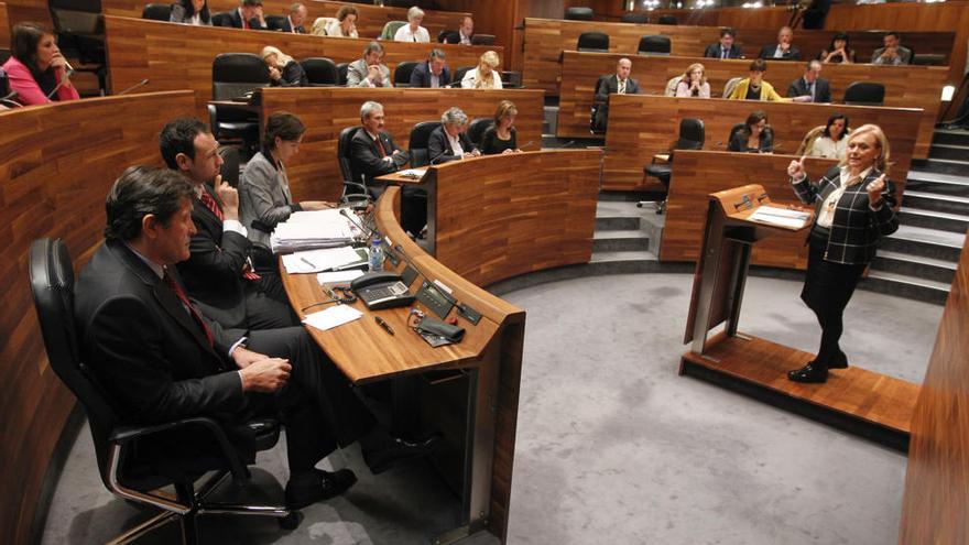 Mercedes Fernández, desde la tribuna de la Junta, ante Javier Fernández, en una imagen de archivo.