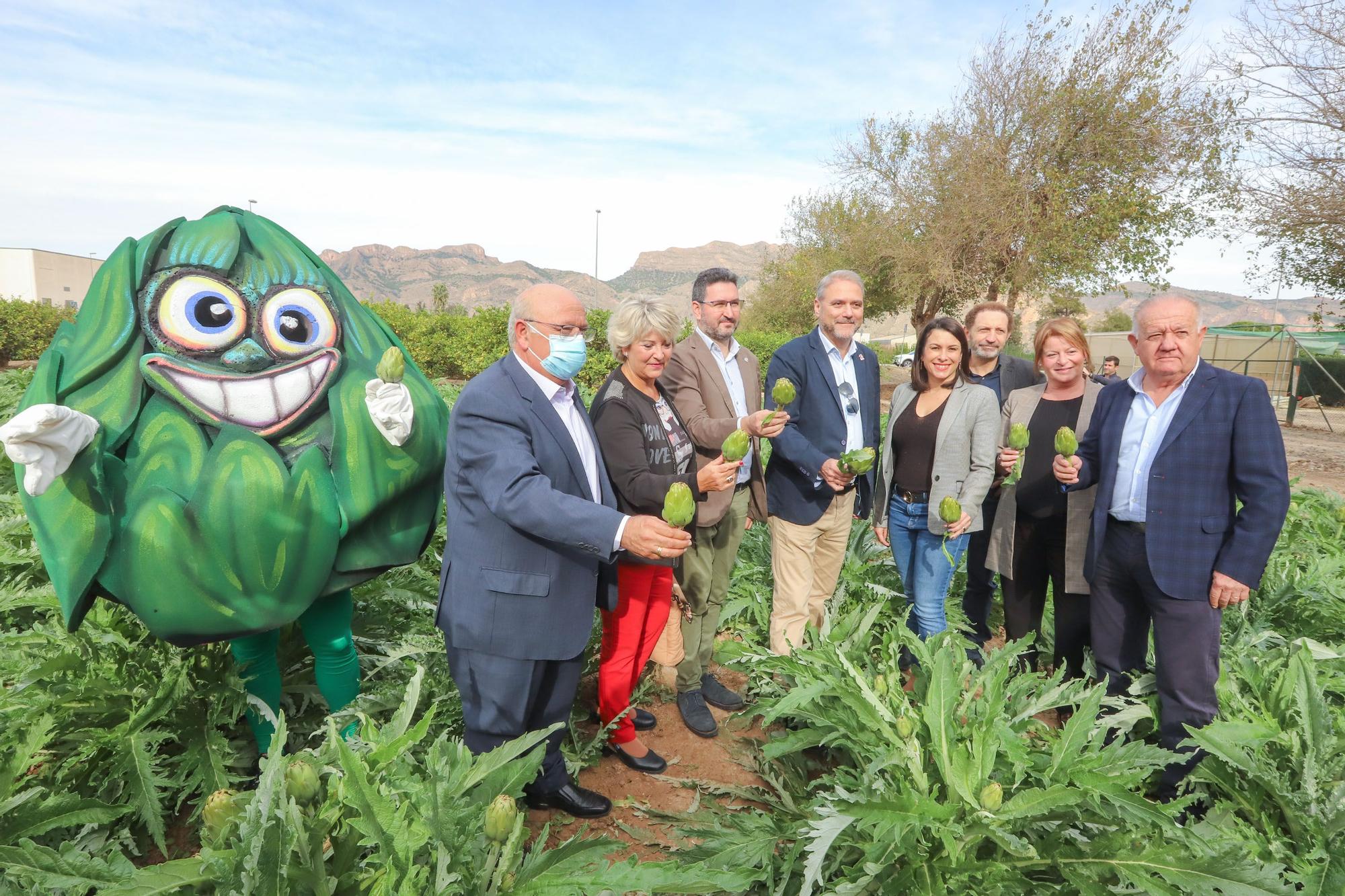 Primer corte de la temporada de alcachofas en la EPSO