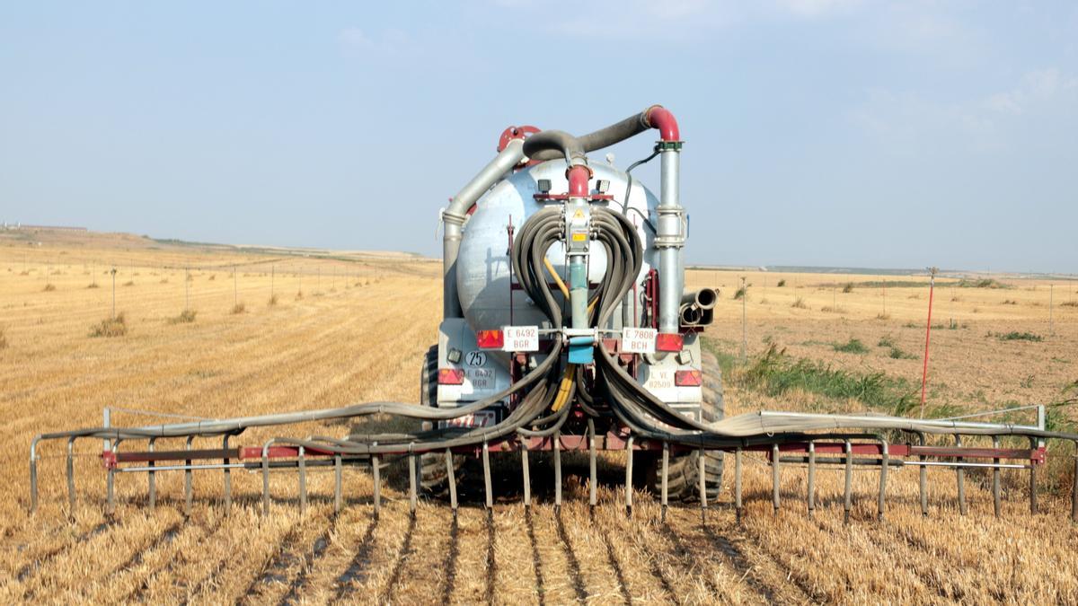 Un tractor amb cisterna aplicant purins en una finca de cereal d&#039;Albesa mitjançant el sistema de tubs penjants