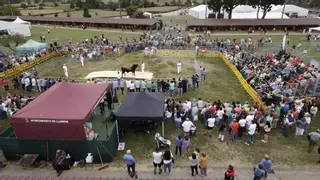 El certamen ganadero y FAPEA regresan hoy con un fin de semana repleto de actividades y atracciones