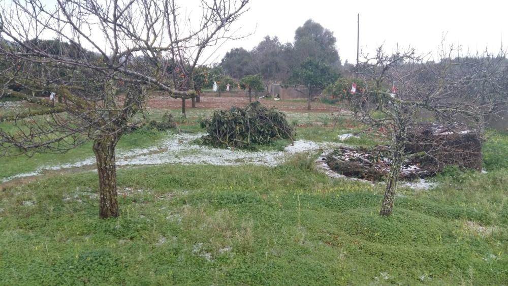 A medida que avanzaba la mañana el blanco iba despareciendo