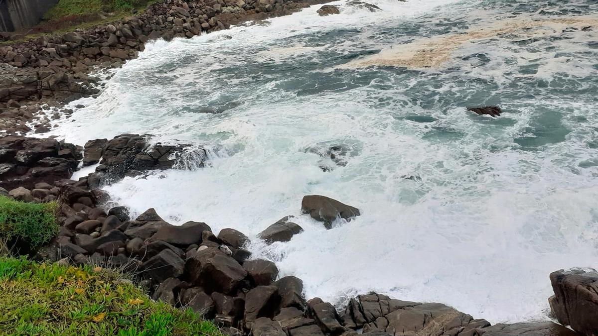 El caballo rescatado en Baiona en la zona de las rocas