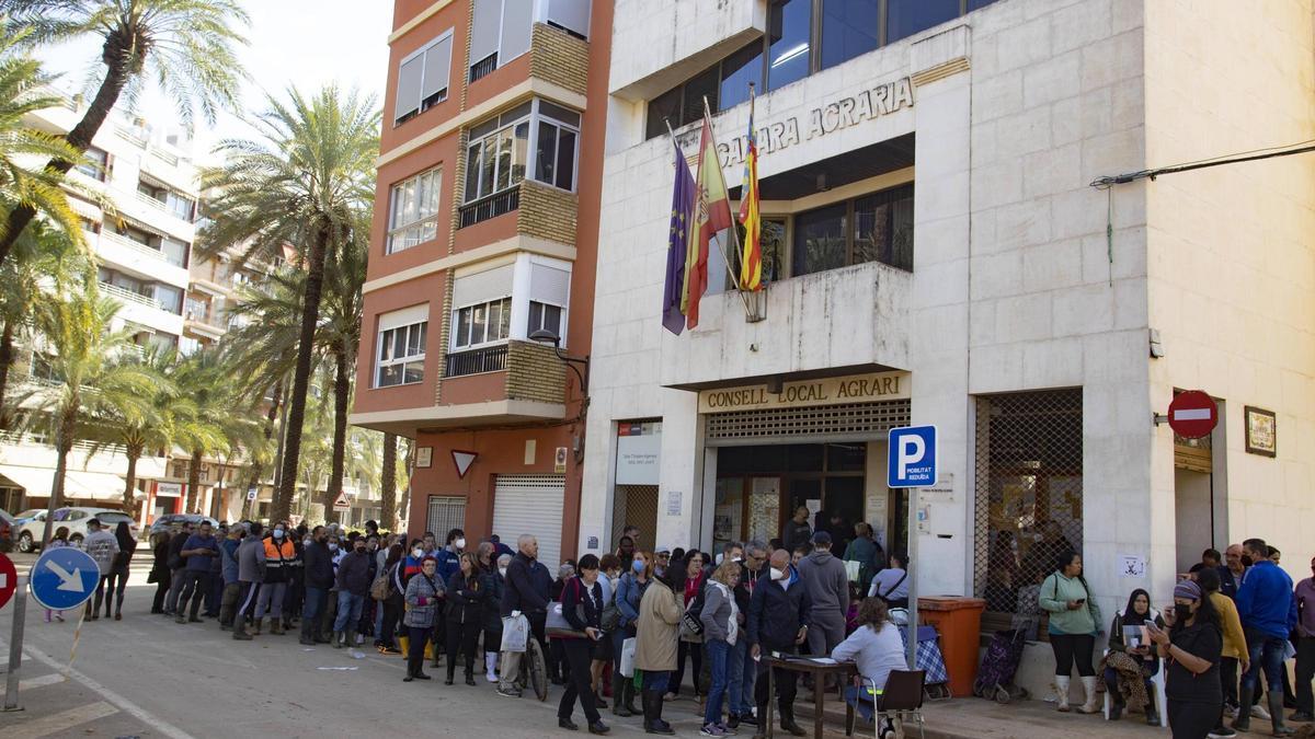 Colas frente al Consell Local Agrari de Algemesí tras la riada del 29-0.