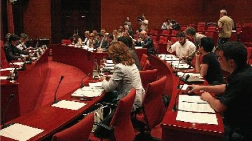 Un moment de la reunió de la comissió parlamentària que ha dictaminat el projecte de llei de consultes