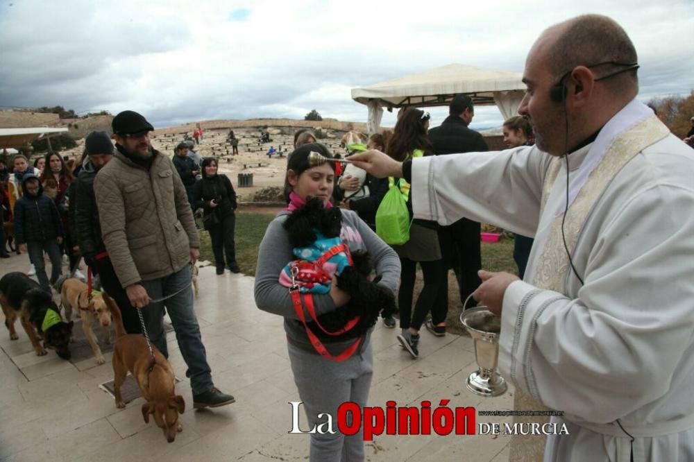 Jornada especial por San Antón en la Fortaleza del Sol de Lorca