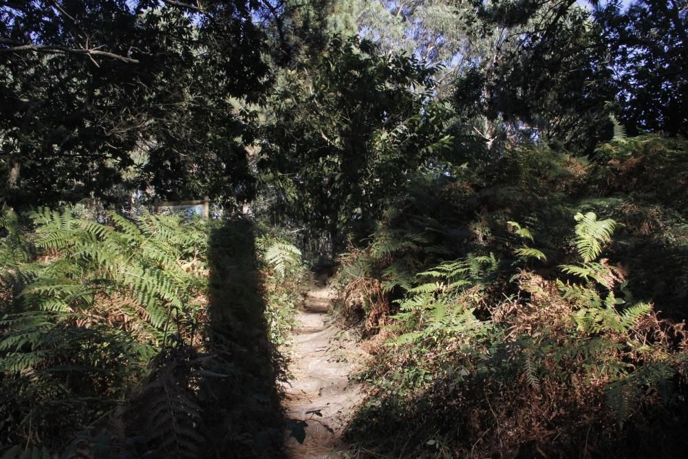 Arco Iris denuncia la pésima conservación de Costa da Vela - Asegura que es una bomba incendiaria y destaca la falta de guardas forestales y señalización adecuada