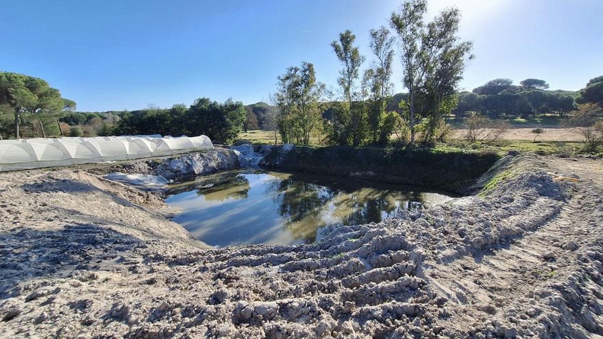 Expedientan a una explotación agrícola por usar tres pozos ilegales para cultivar fresas en el entorno de Doñana