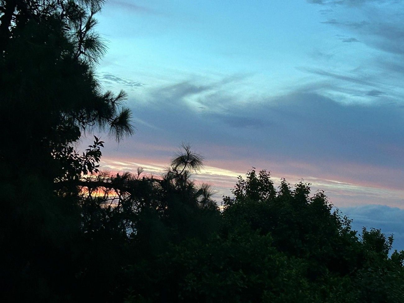 Borrasca Óscar: 'Un paseo por las nubes' de Canarias