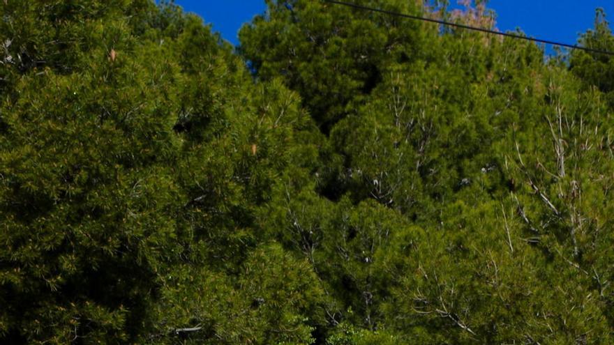 Palomera y Mundina ganan en la Vilavella