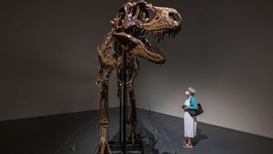 Avance de Sothebys de la subasta completa de esqueletos de dinosaurios.