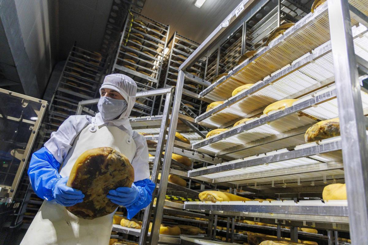 La familia Muñoz Rojo mantiene un firme compromiso con la mejora continua y la innovación.