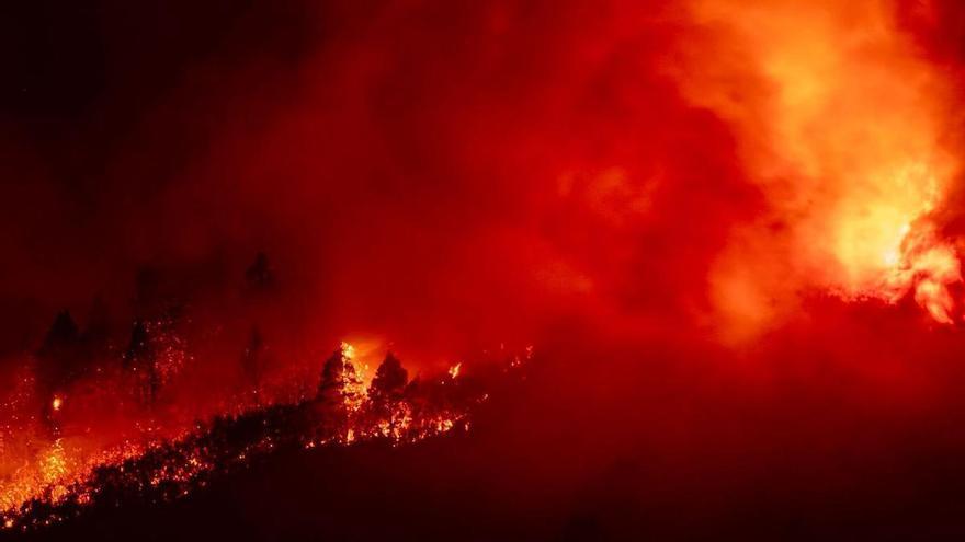 El incendio de Tenerife continúa descontrolado y más de ocho mil vecinos han sido desalojados