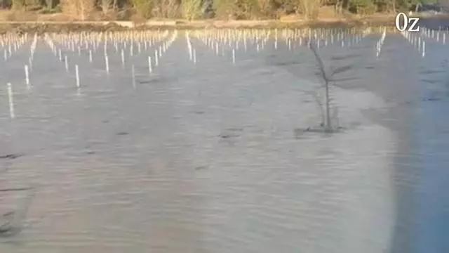 Cortada la N-122 a la altura de Toro por el desbordamiento del Duero